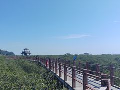 -北海金海湾红树林生态旅游区