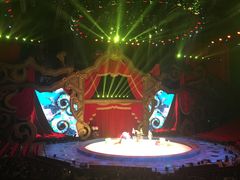 -珠海横琴长隆《卡卡虎奇遇记》