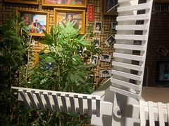 -胡桃里音乐酒馆(白云五号T5 MALL店)