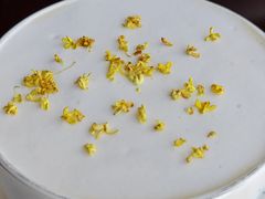 桂花奶茶-青岛朗艺美术馆·海景咖啡