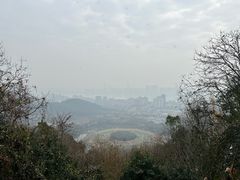 -八卦田遗址公园