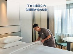 -新加坡乌节希尔顿酒店 (SG Clean)