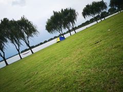 -漕湖湿地公园
