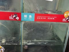 -鱼酷活鱼烤鱼(北美店)