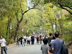 -北山公园