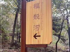 -老象峰