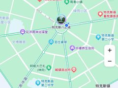 -特克斯八卦城