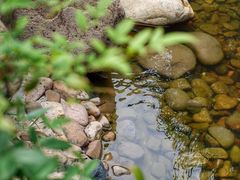 -活水公园