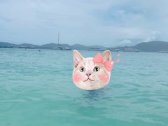 -珊瑚岛
