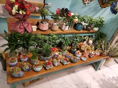 -深影国际影城(学院南路店CGS中国巨幕店)