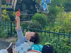 -上海长兴岛郊野公园