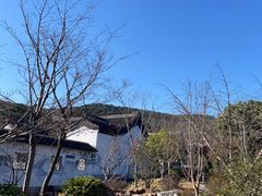 -雨花胜境