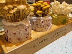 -烹然四季椰子鸡火锅(团结湖总店)