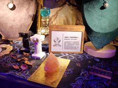 -雪灵魔法世界SHELLY’S TAROT(大良桂畔里店)