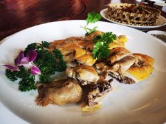 -顺德了能馆(虎门店)