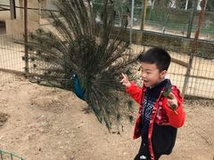 -武汉紫薇都市田园