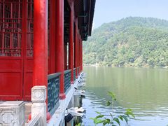 -黔灵山公园
