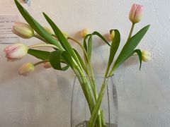 -春风十里咖啡馆