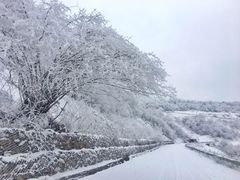 -太子岭滑雪场