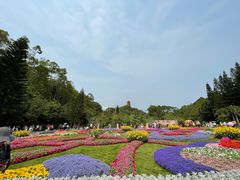 -深圳仙湖植物园