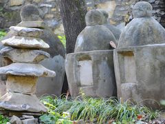 -北京上方山国家森林公园