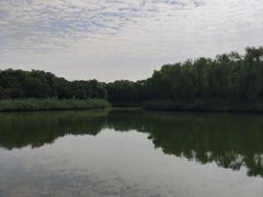 -大兴滨河森林公园