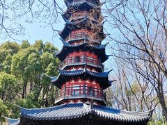 -上海佘山国家森林公园西佘山园