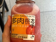 多肉桃李-奈雪的茶(广州万菱汇PRO店)