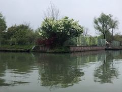 -西溪国家湿地公园