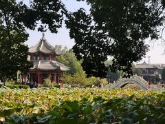 -莲池书院博物馆