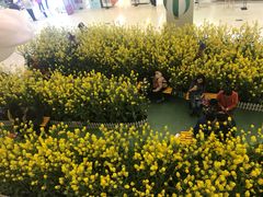 -天虹购物中心(石路店)