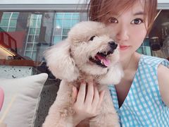 -Line 咖啡(石厦花园店)