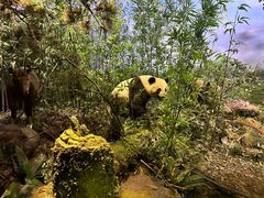 -陕西自然博物馆