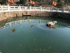 -白马涧龙池景区