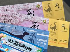 -自然谷恐龙园