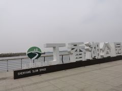 -丁香湖公园