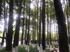 -瀛洲公园