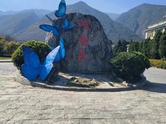 -蝴蝶泉公园
