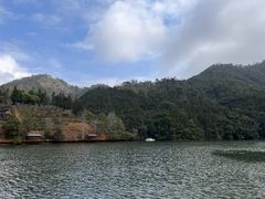 -天台国家森林公园水上茶乡九鹏溪