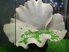-游龙石文化科普馆