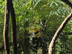 -广州长隆野生动物世界