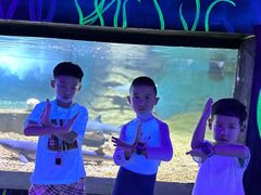 -秦皇岛乐岛海洋王国