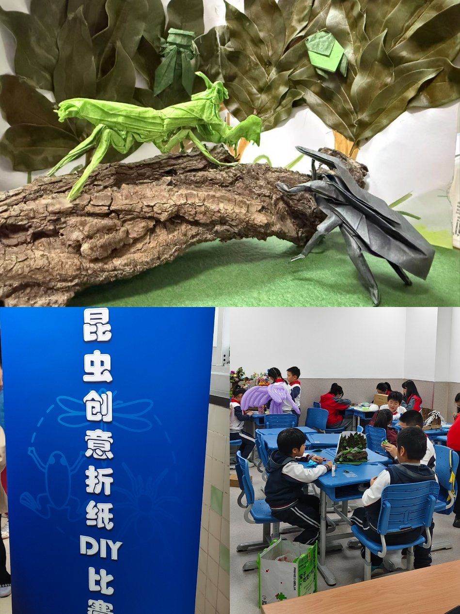 ,感觉大家都好卷~~
咱们的作品是"螳螂捕蝉"