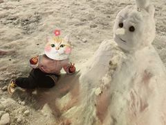 -威海大水泊国际机场