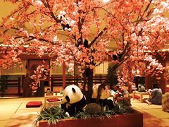 -大江户·温泉洗浴(浑南店)