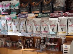 -宠福鑫动物医院(望京分院)