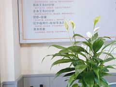 -衷依推拿馆·盲人推拿·艾灸·SPA(新乐中街店)