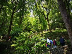 -严子陵钓台(富春江小三峡)