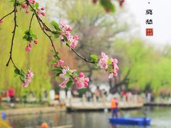 -莫愁湖公园