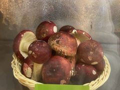 -菌海森林·非遗野生菌火锅(西山区滇池路摩根道店)